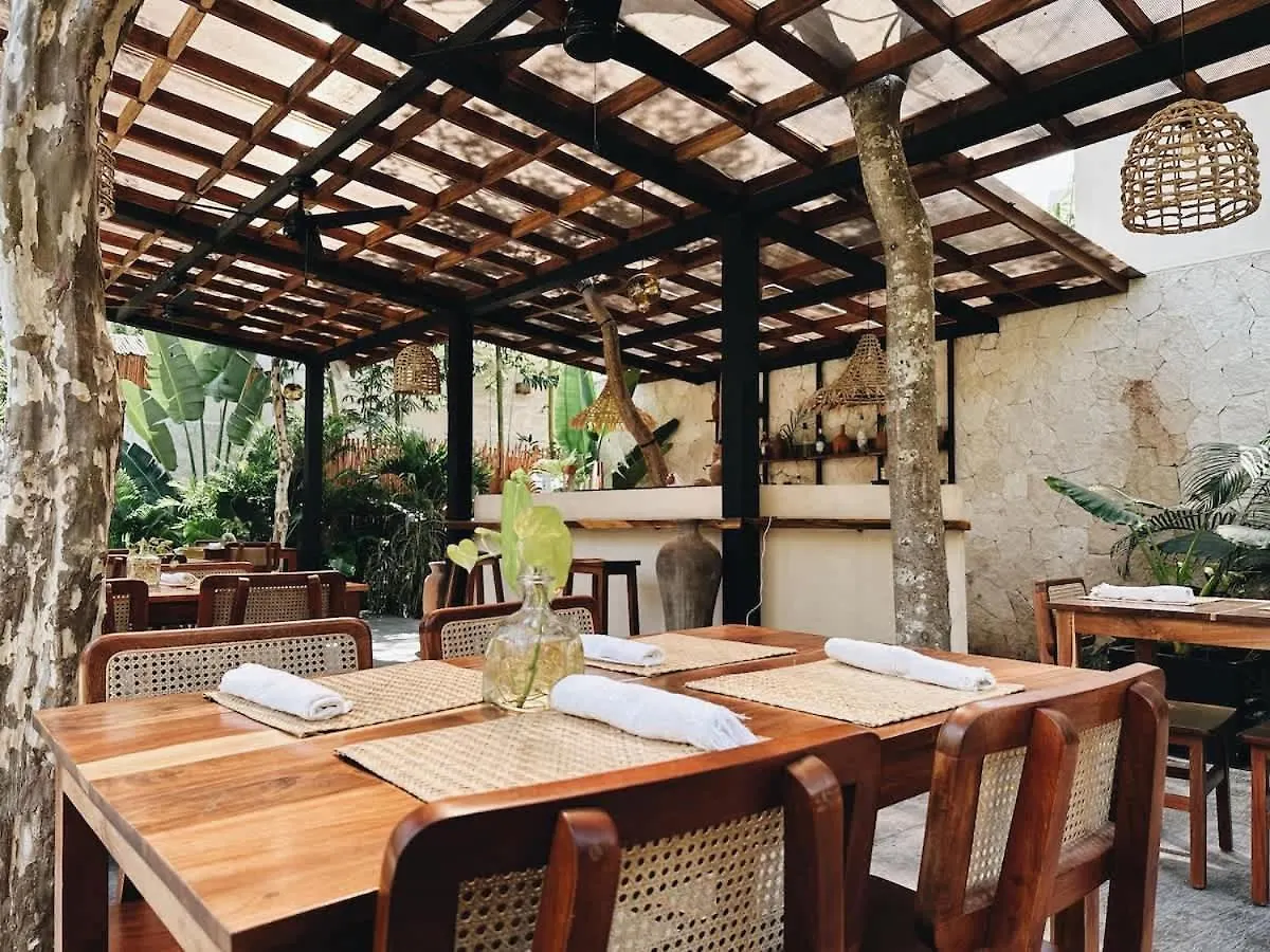 Villa Bambu Con Alberca Privada En 툴룸 멕시코
