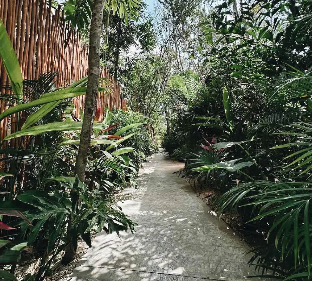 Villa Bambu Con Alberca Privada En 툴룸