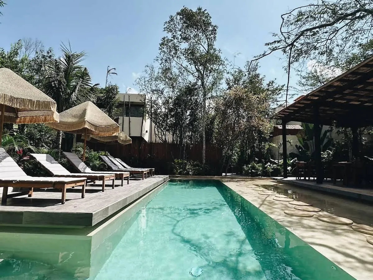 Villa Bambu Con Alberca Privada En 툴룸