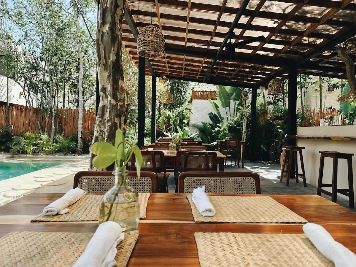 Villa Bambu Con Alberca Privada En 툴룸 멕시코
